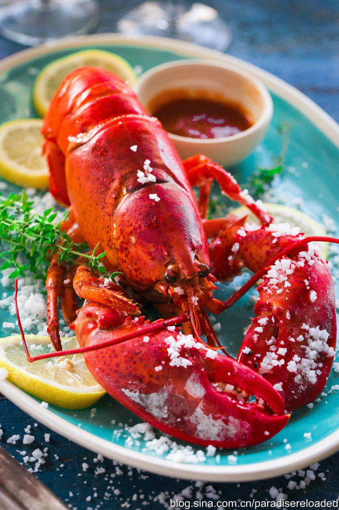 【盐焗大龙虾】大味化简,盐之有理;附:识别龙虾方法 【盐焗大龙虾】大味化简,盐之有理;附:识别龙虾方法