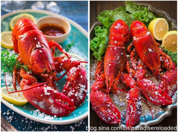 【盐焗大龙虾】大味化简,盐之有理;附:识别龙虾方法 【盐焗大龙虾】大味化简,盐之有理;附:识别龙虾方法