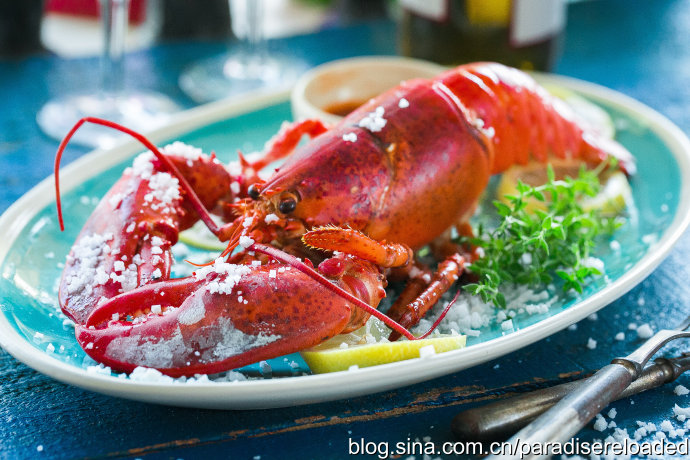【盐焗大龙虾】大味化简,盐之有理;附:识别龙虾方法 【盐焗大龙虾】大味化简,盐之有理;附:识别龙虾方法