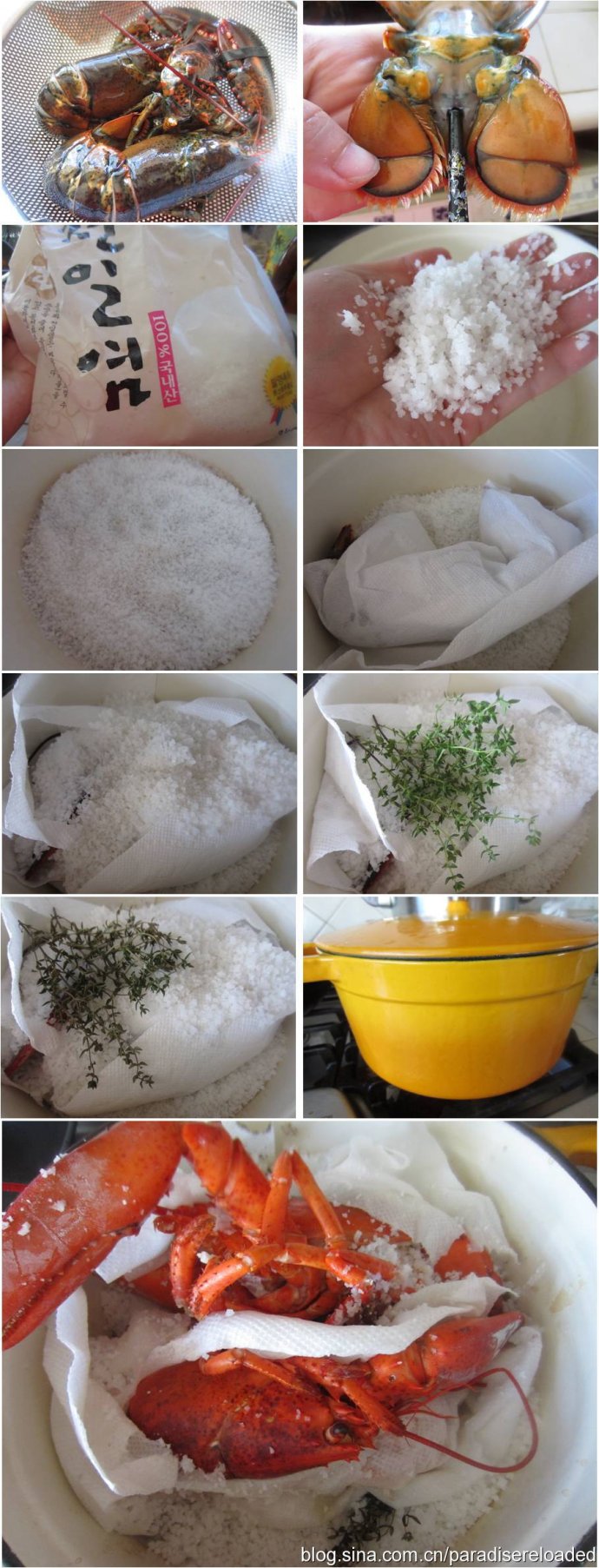 【盐焗大龙虾】大味化简,盐之有理;附:识别龙虾方法 【盐焗大龙虾】大味化简,盐之有理;附:识别龙虾方法